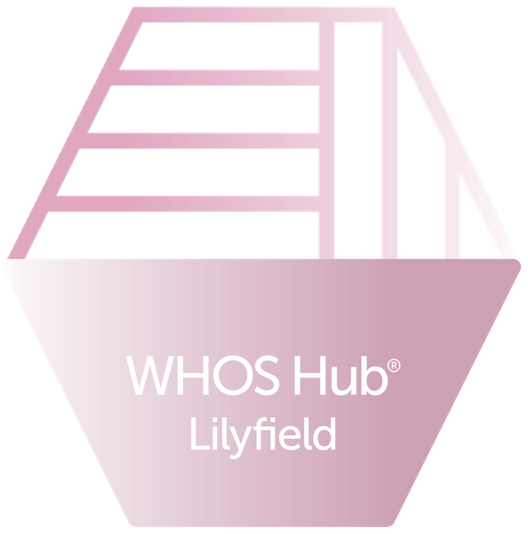 Lilyfield Day Program logo