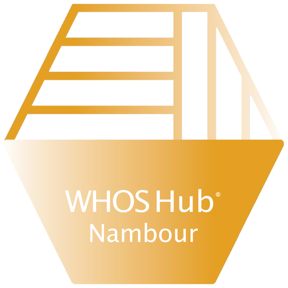 Nambour Day Program logo