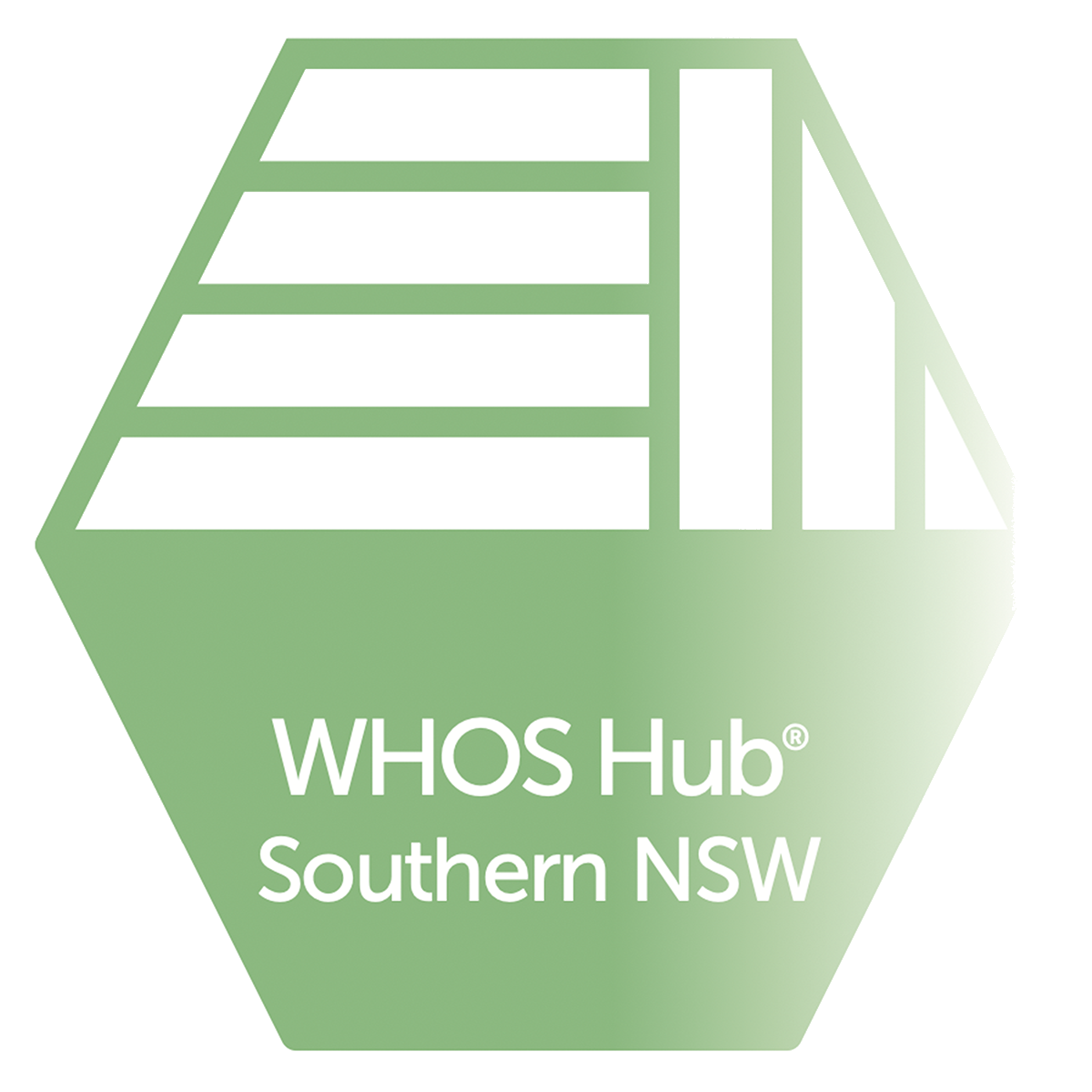 Southern NSW Day Program logo