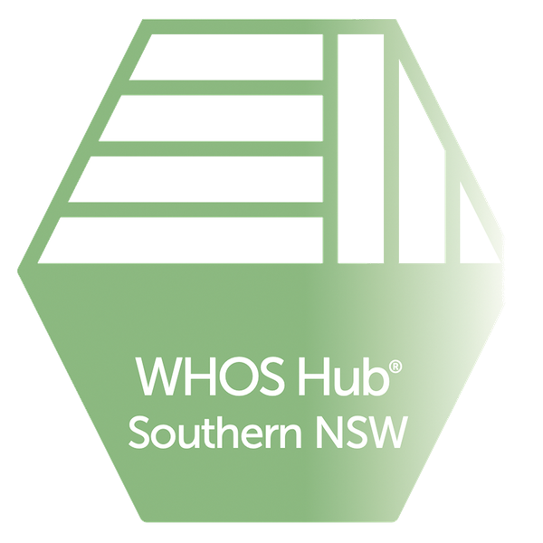 Southern NSW Day Program logo