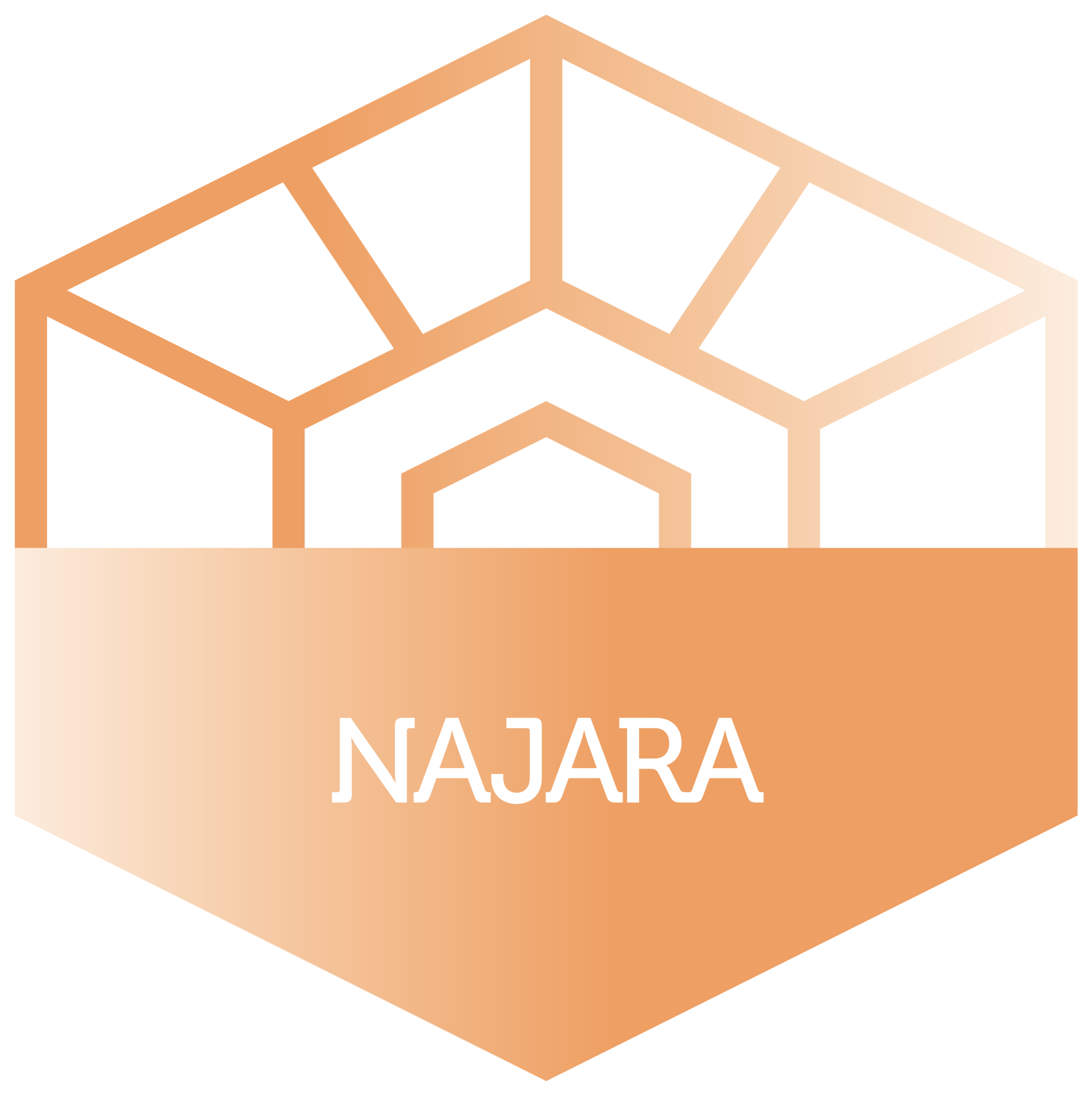 Najara TC program logo