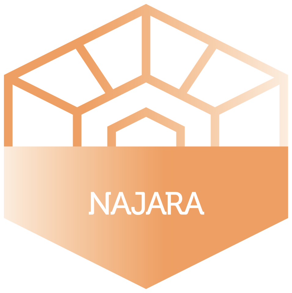 Najara TC logo